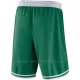 Boston Celtics Pantaloncini da Basket Icon Edition Swingman