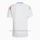 Maglia Italia Gara Away Euro 2024