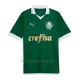 Maglia Palmeiras Gara Home 2024/25