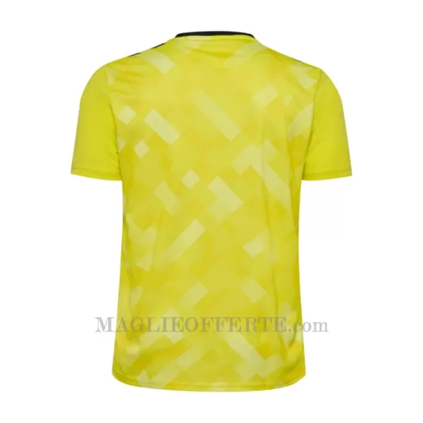 Maglia Portiere Danimarca Euro 2024 Giallo