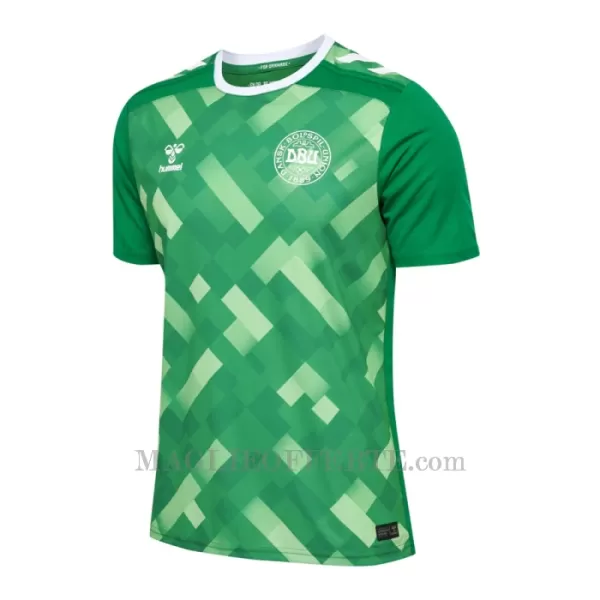 Maglia Portiere Danimarca Euro 2024 Verde