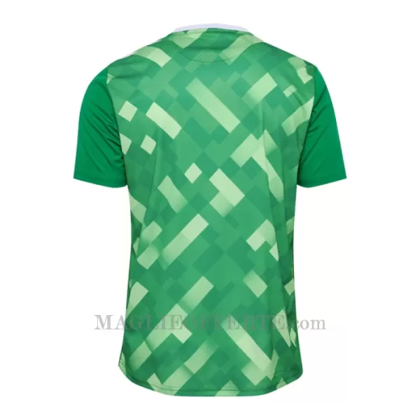 Maglia Portiere Danimarca Euro 2024 Verde