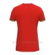 Maglia Romania Gara Away Euro 2024