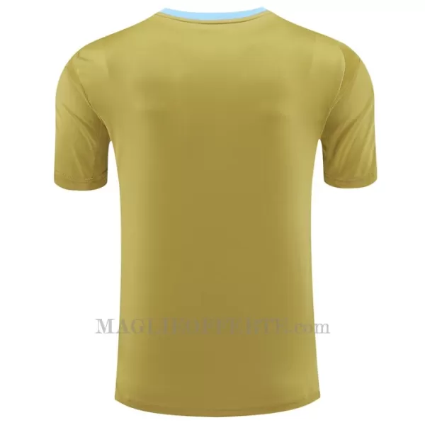 Maglia Argentina Pre-Match 2024 Giallo