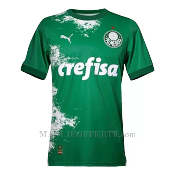 Maglia Palmeiras 2024 Verde (Speciell)