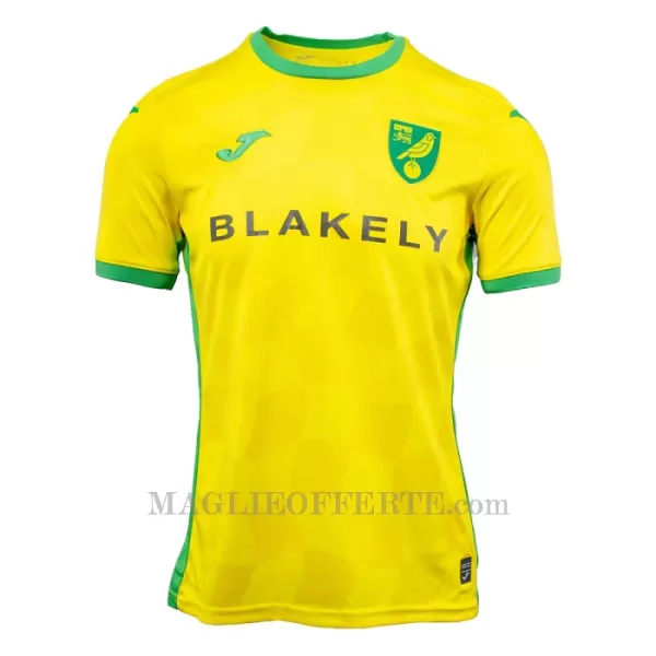 Maglia Norwich City Gara Home 2024/25