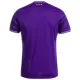 Maglia RSC Anderlecht Gara Home 2024/25