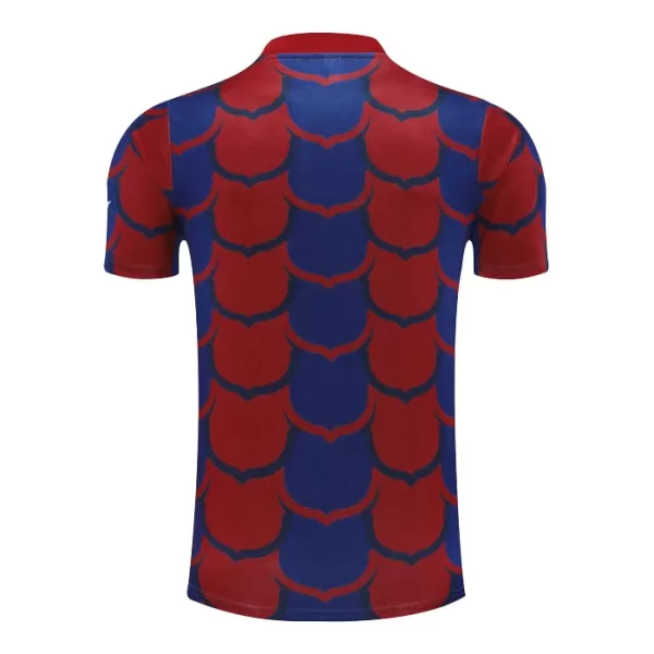 Maglia Barcellona Pre-Match 2024/25