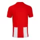 Maglia U.D. Almeria Gara Home 2024/25