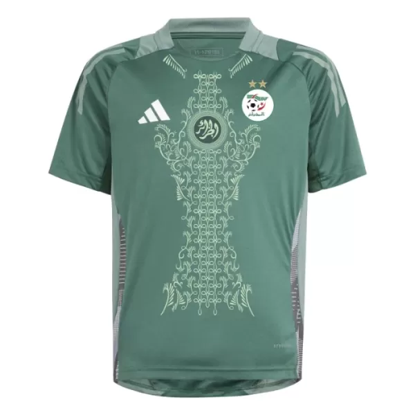 Maglia Nigeria 2024 Verde (Speciell)