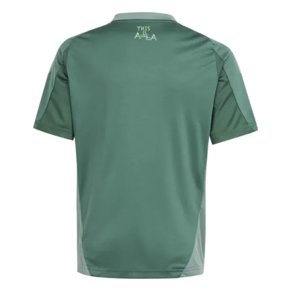 Maglia Nigeria 2024 Verde (Speciell)