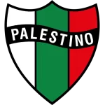 Club Deportivo Palestino