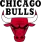 Chicago Bulls